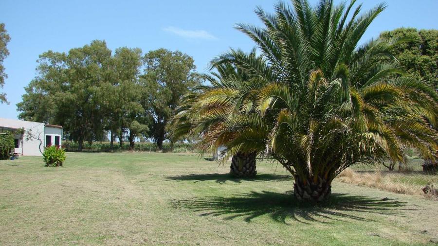 Casa Campo en venta, Arenaza, Lincoln, BA 6075