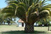 Casa Campo en venta, Arenaza, Lincoln, BA 6075