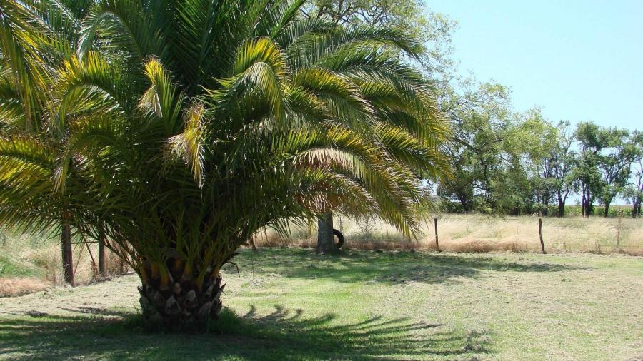 Casa Campo en venta, Arenaza, Lincoln, BA 6075