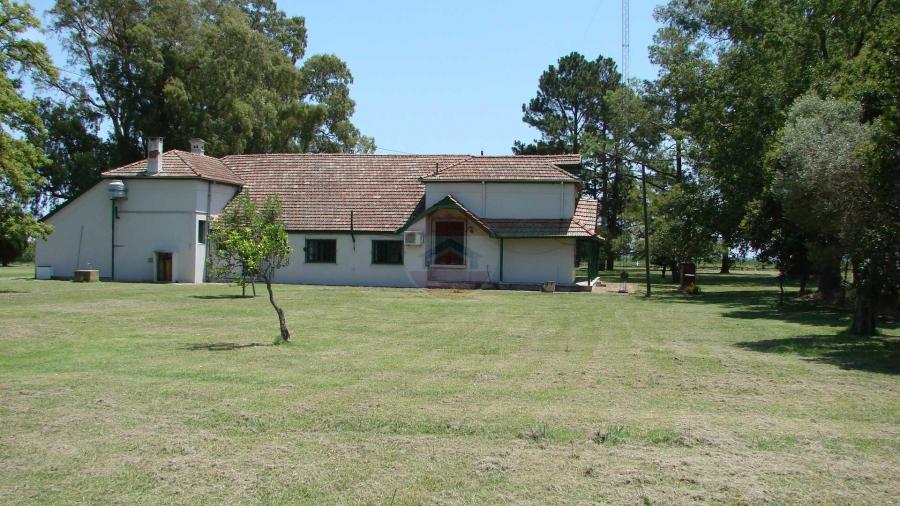 Casa Campo en venta, Arenaza, Lincoln, BA 6075