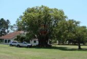 Casa Campo en venta, Arenaza, Lincoln, BA 6075