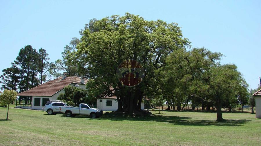 Casa Campo en venta, Arenaza, Lincoln, BA 6075