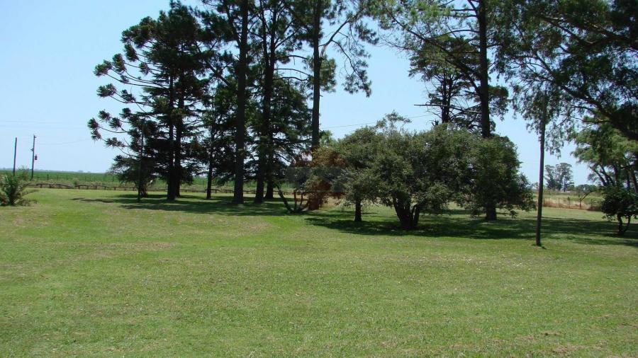 Casa Campo en venta, Arenaza, Lincoln, BA 6075