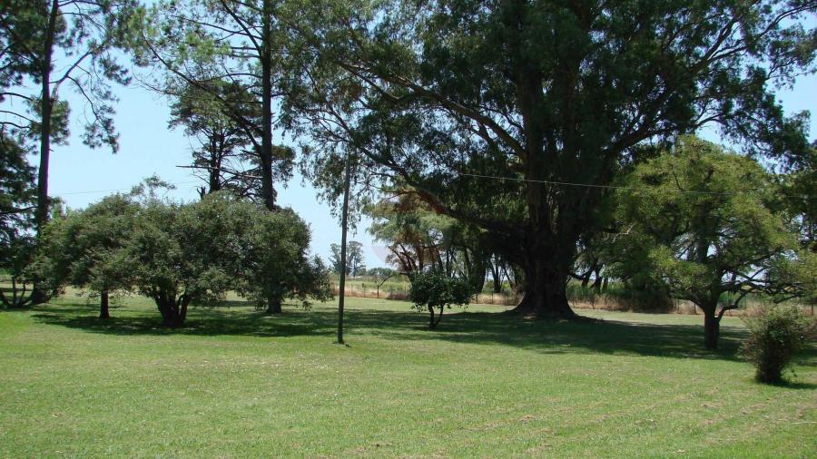 Casa Campo en venta, Arenaza, Lincoln, BA 6075