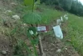 Campo de 56 Ha en venta en Rodeo de Piedra, Córdoba