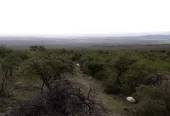 Campo de 56 Ha en venta en Rodeo de Piedra, Córdoba