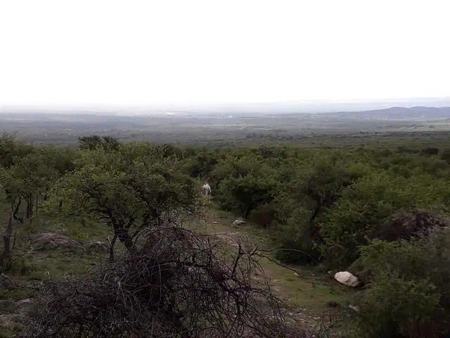 Campo de 56 Ha en venta en Rodeo de Piedra, Córdoba