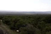 Campo de 56 Ha en venta en Rodeo de Piedra, Córdoba
