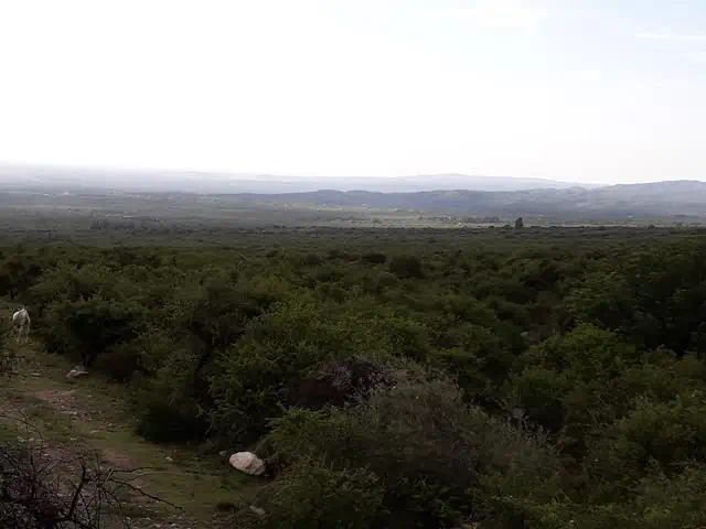 Campo de 56 Ha en venta en Rodeo de Piedra, Córdoba