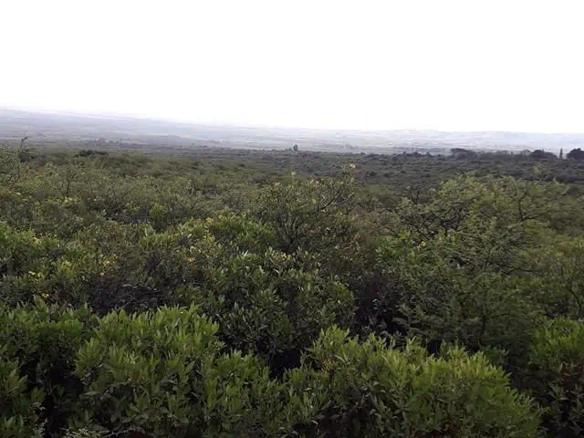 Campo de 56 Ha en venta en Rodeo de Piedra, Córdoba