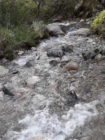 Campo de 56 Ha en venta en Rodeo de Piedra, Córdoba