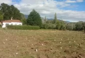 Campo de 56 Ha en venta en Rodeo de Piedra, Córdoba