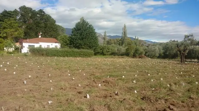 Campo de 56 Ha en venta en Rodeo de Piedra, Córdoba