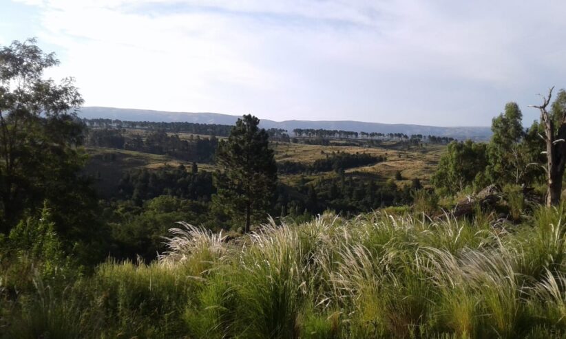 Campo 129 ha en Villa Berna Calamuchita Córdoba
