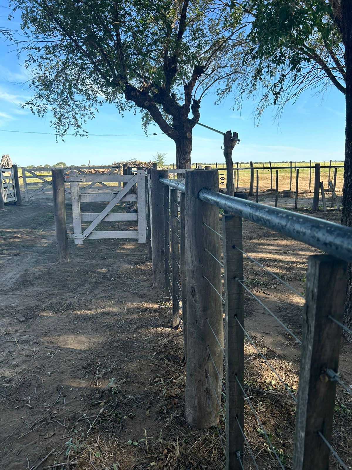 Se Venden 1237 Has en Quehue. Mixto. Mejoras para Coto de Caza