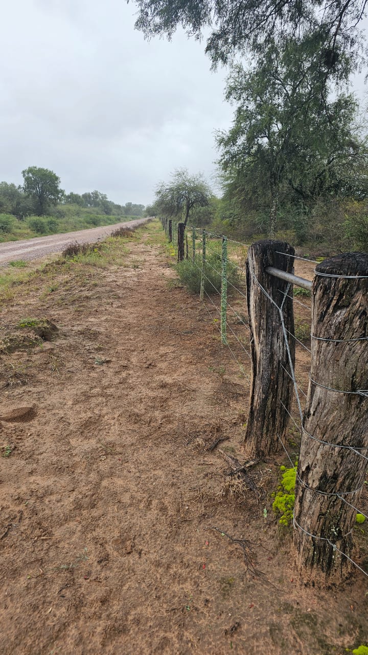 Campo en Venta de 220 Hectáreas en San Martin de los Andes