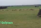 Se Venden 1138 Has Mixtas. a 20km de Santa Rosa La Pampa