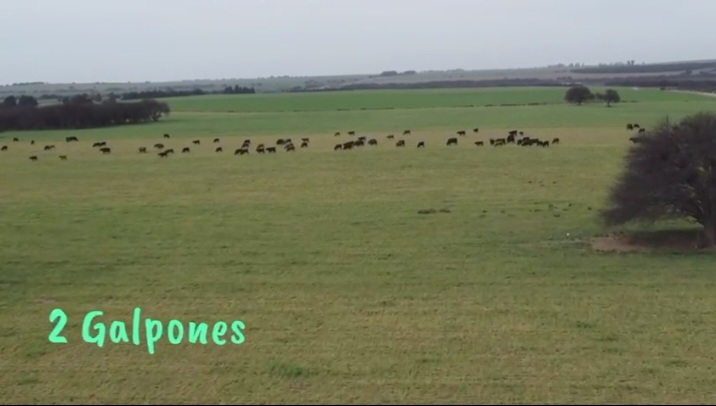 Se Venden 1138 Has Mixtas. a 20km de Santa Rosa La Pampa