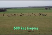 Se Venden 1138 Has Mixtas. a 20km de Santa Rosa La Pampa
