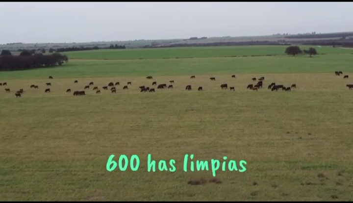 Se Venden 1138 Has Mixtas. a 20km de Santa Rosa La Pampa