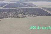 Se Venden 1138 Has Mixtas. a 20km de Santa Rosa La Pampa