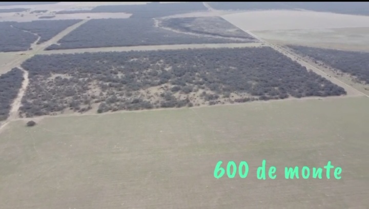 Se Venden 1138 Has Mixtas. a 20km de Santa Rosa La Pampa