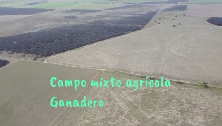 Se Venden 1138 Has Mixtas. a 20km de Santa Rosa La Pampa