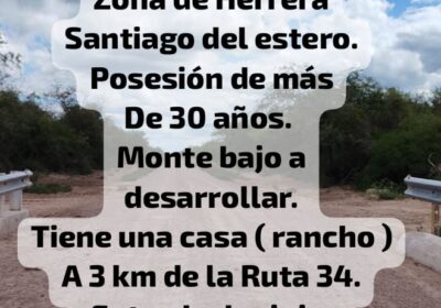 WhatsApp-Image-2024-04-17-at-11.53.39