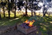 Inmobiliaria Vende Campo De 71 Has Mixtas En Ferrari. Magdalena