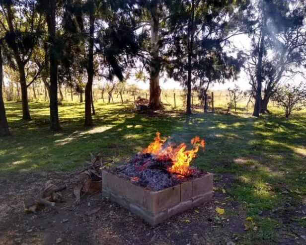 Inmobiliaria Vende Campo De 71 Has Mixtas En Ferrari. Magdalena