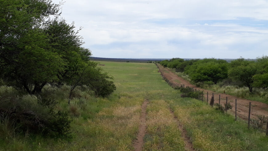 Oportunidad! Inmobiliaria Vende 1.250 ha mixtas en Utracán. Pcia. La Pampa