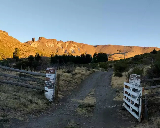 Campo en Venta de 220 Hectáreas en San Martin de los Andes