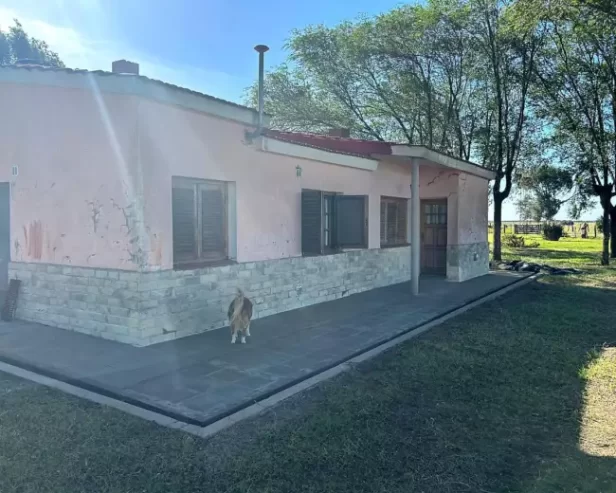 Se Venden 1237 Has en Quehue. Mixto. Mejoras para Coto de Caza