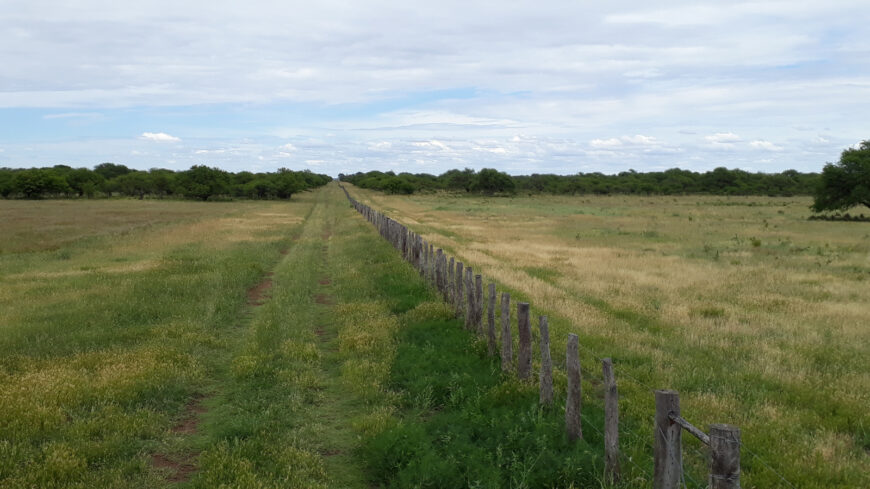 Oportunidad! Inmobiliaria Vende 1.250 ha mixtas en Utracán. Pcia. La Pampa