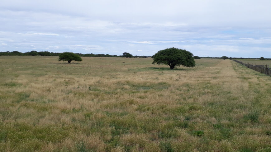 Oportunidad! Inmobiliaria Vende 1.250 ha mixtas en Utracán. Pcia. La Pampa
