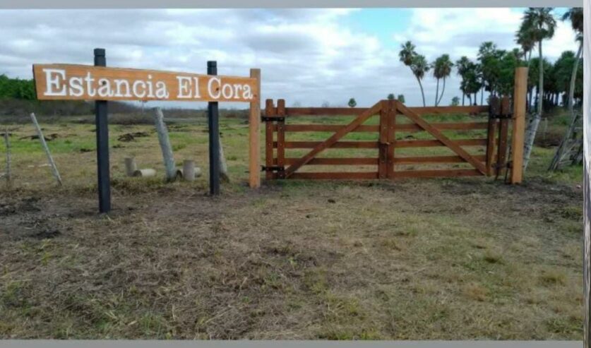 Campo ganadero