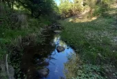 Campo 129 ha en Villa Berna Calamuchita Córdoba