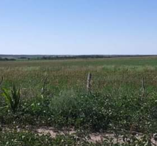 VENDO O PERMUTO CAMPO DE 10 HECTÁREAS