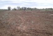 VENDO CAMPO CON ESCRITURA