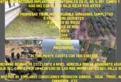 VENDO CAMPO 397 HECTÁREAS EN SANTIAGO DEL ESTERO..OPORTUNIDAD INVERSIONISTAS