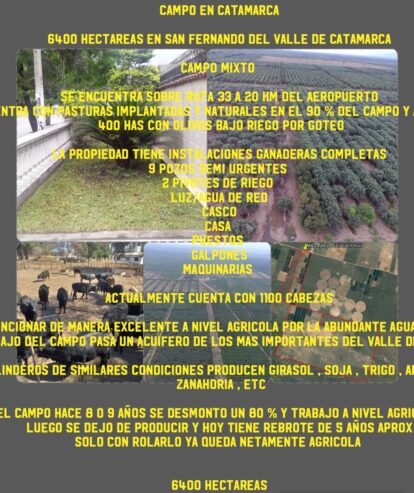 VENDO CAMPO 397 HECTÁREAS EN SANTIAGO DEL ESTERO..OPORTUNIDAD INVERSIONISTAS