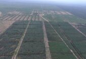 VENDO CAMPO 397 HECTÁREAS EN SANTIAGO DEL ESTERO..OPORTUNIDAD INVERSIONISTAS