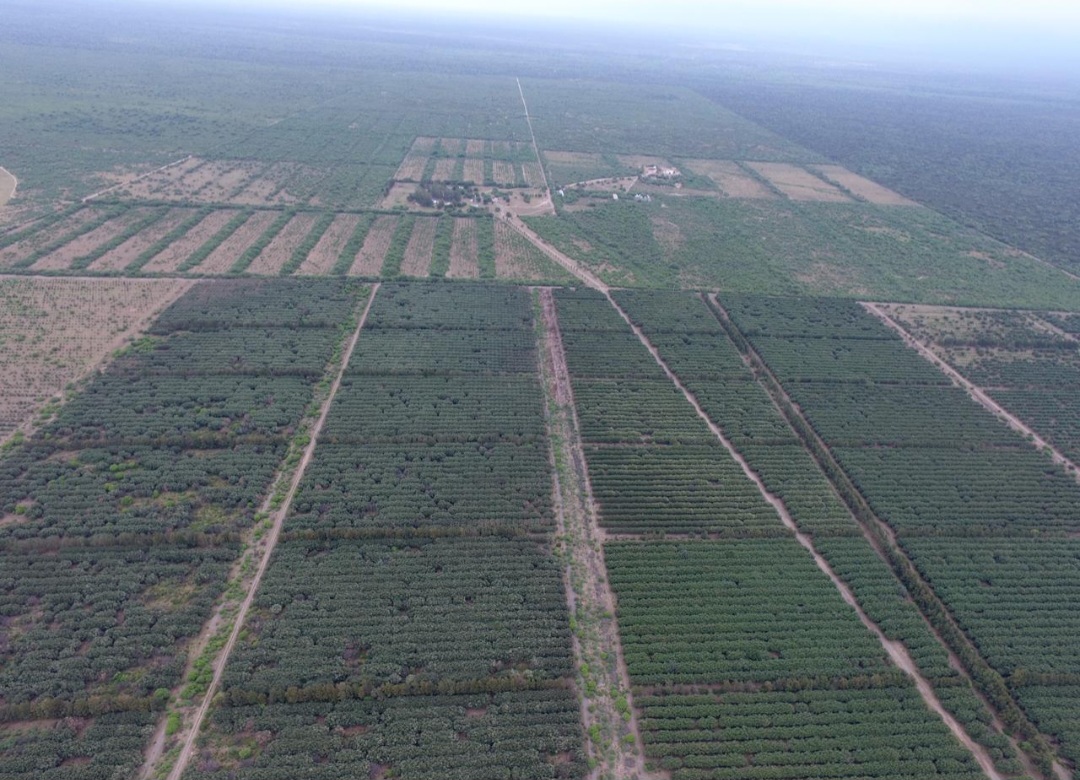 VENDO CAMPO 397 HECTÁREAS EN SANTIAGO DEL ESTERO..OPORTUNIDAD INVERSIONISTAS