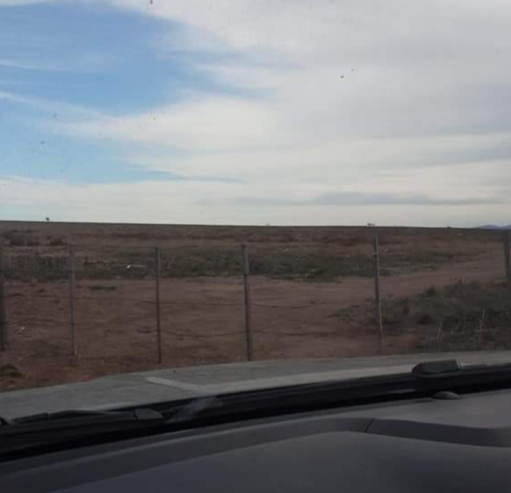 VENDO O PERMUTO CAMPO DE 10 HECTÁREAS