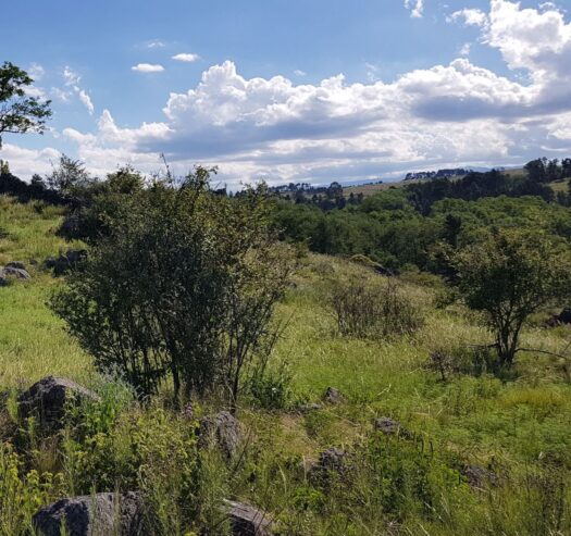 Campo 129 ha en Villa Berna Calamuchita Córdoba