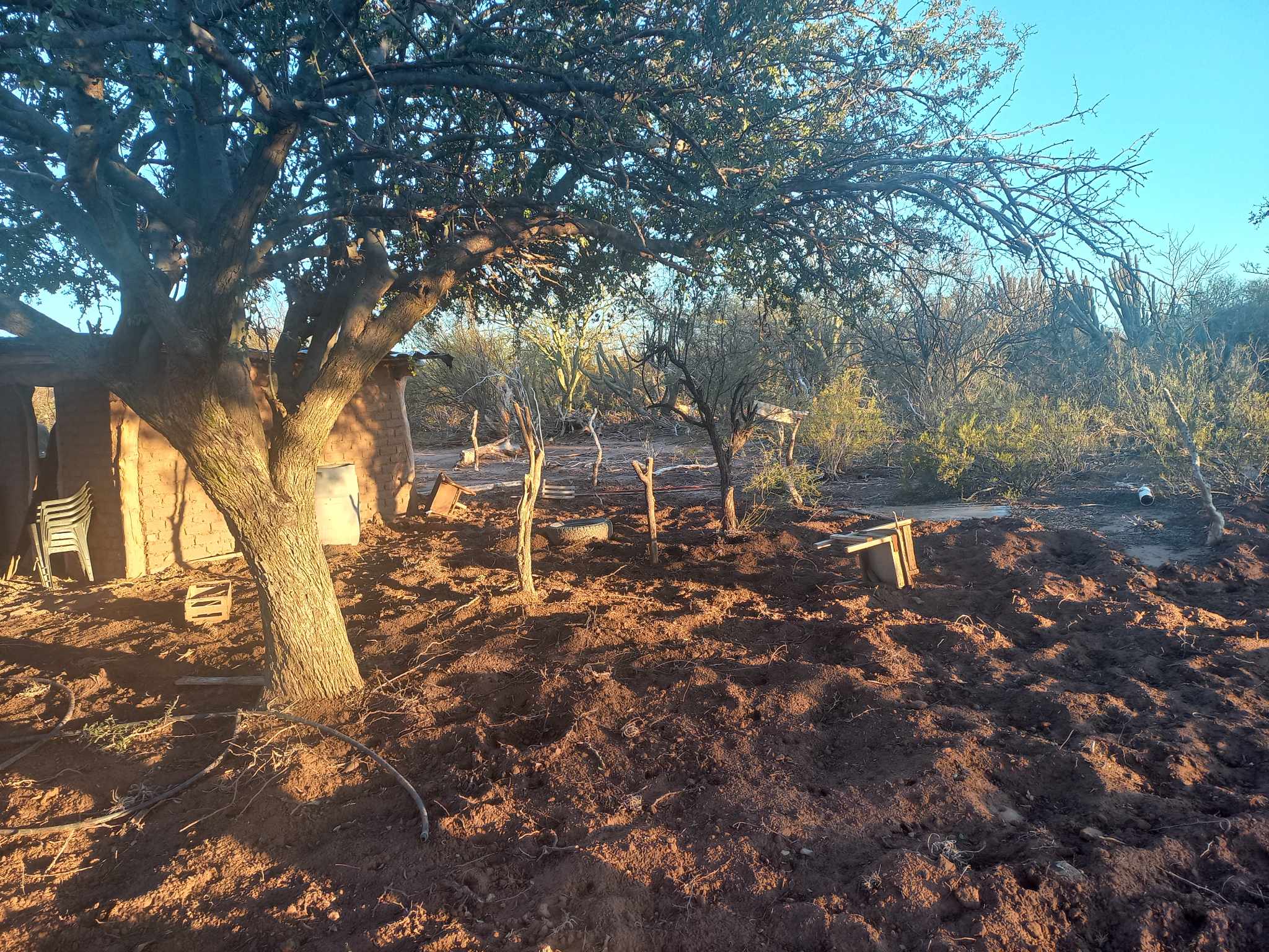 CAMPO GANADERO EN CATAMARCA U$130 X HECTAREA