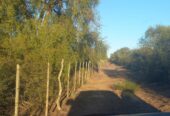 CAMPO GANADERO EN CATAMARCA U$130 X HECTAREA