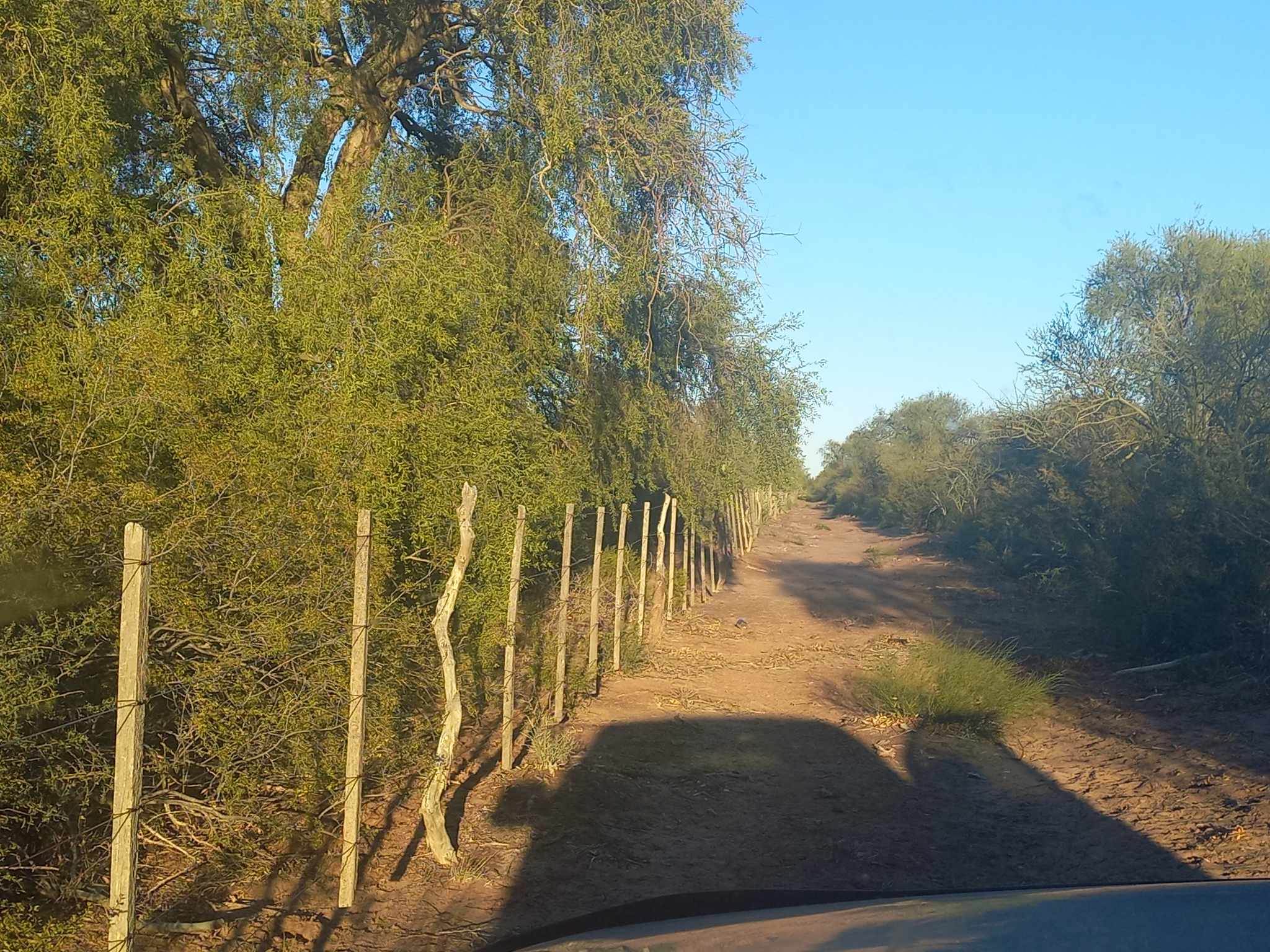 CAMPO GANADERO EN CATAMARCA U$130 X HECTAREA