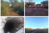 CAMPO GANADERO EN CATAMARCA U$130 X HECTAREA