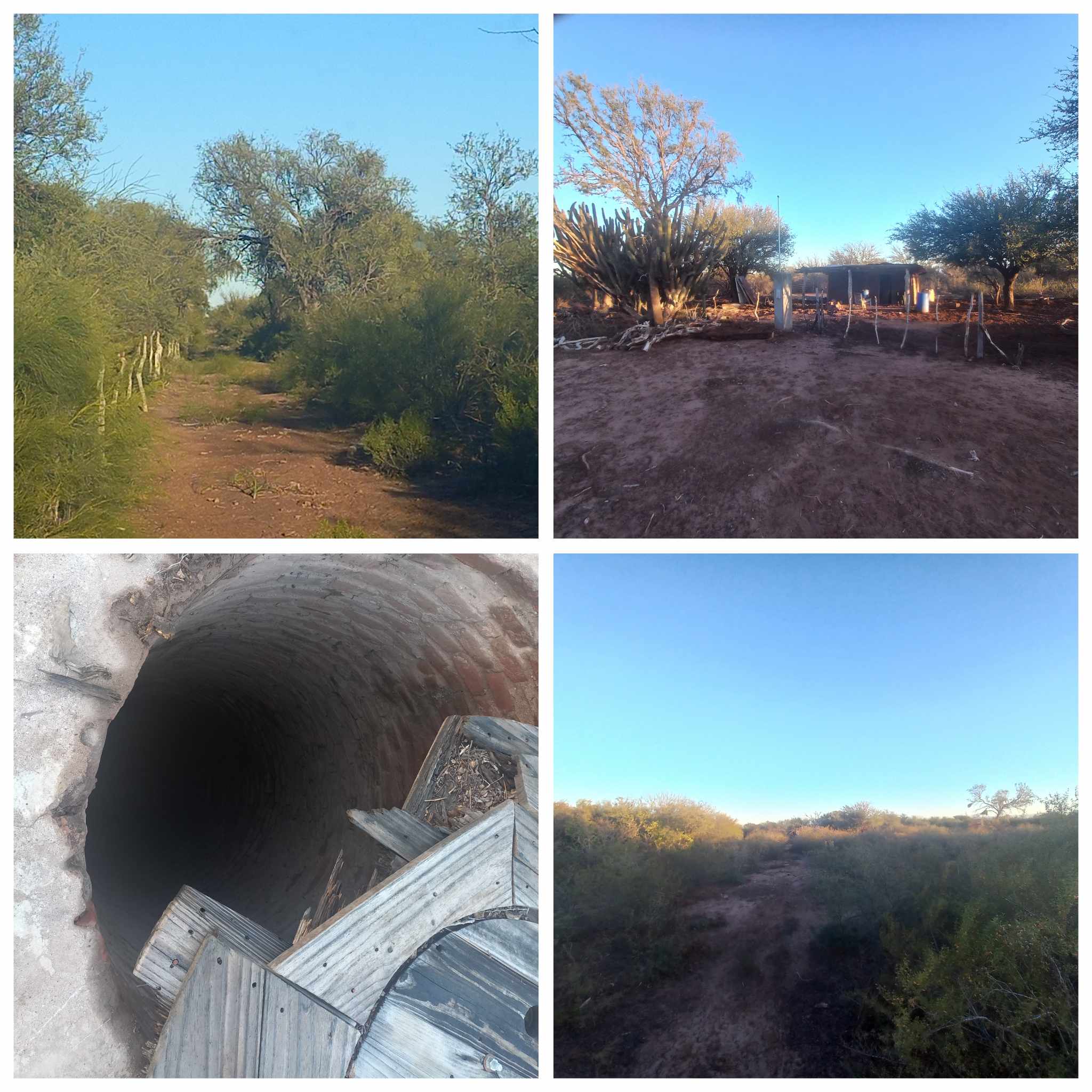 CAMPO GANADERO EN CATAMARCA U$130 X HECTAREA